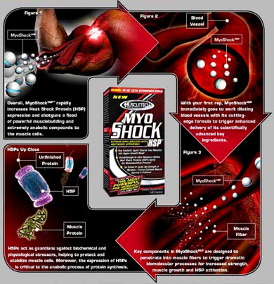 Действие Myo Shock