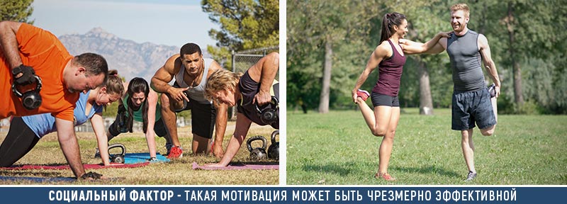 Социальный фактор