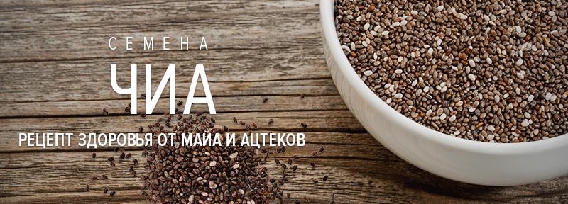 Чиа: рецепт здоровья от майя и ацтеков