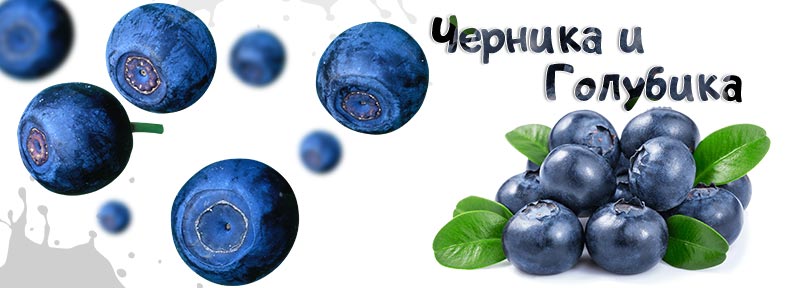 Голубика и черника – борцы со свободными радикалами