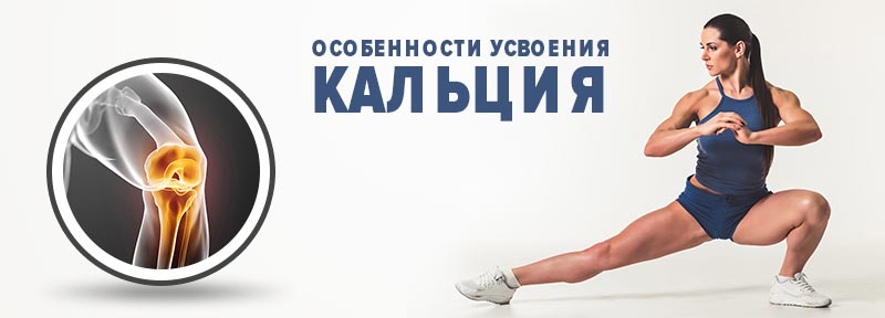 Особенности усвоения кальция