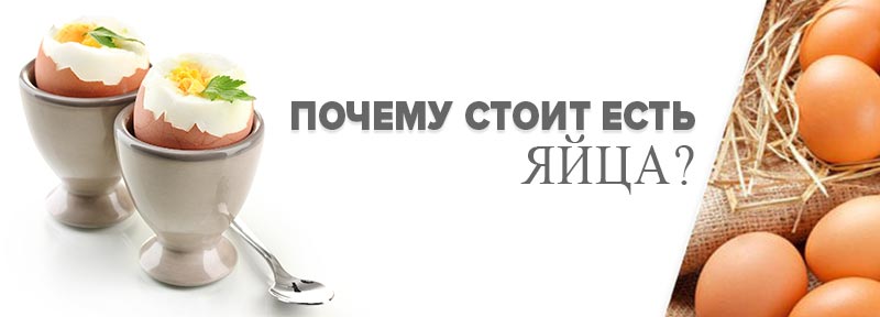 Почему стоит есть яйца?