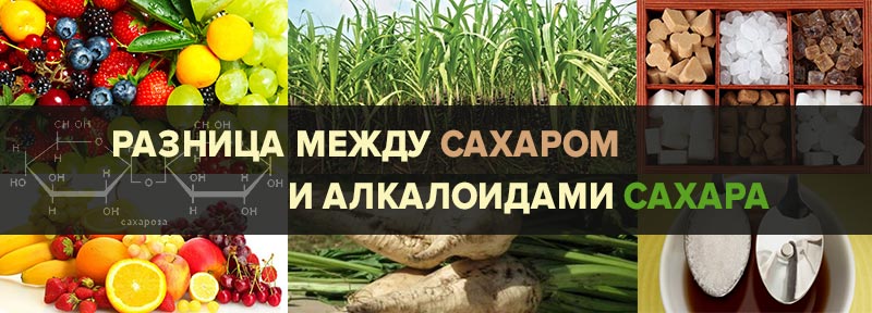 Разница между сахаром и алкалоидами сахара