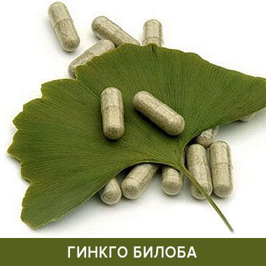Гинко Билоба