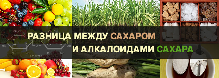 Разница между сахаром и алкалоидами сахара