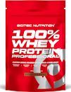 Протеин Scitec Nutrition 100 Whey Protein Professional 500 г пакет