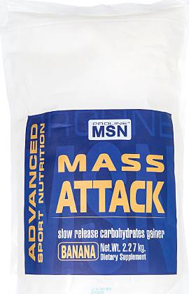 Гейнер MSN Iron Mass Attack
