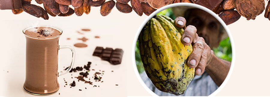 Воздействие какао на поврежденные мышцы